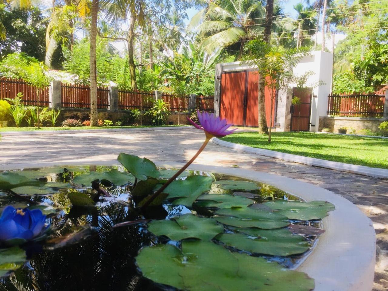 Casa Blanca Hotel อาฮานกามา ภายนอก รูปภาพ